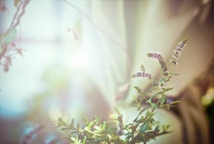 ドライヘッドマッサージふんわりというサロン名に込めた想い