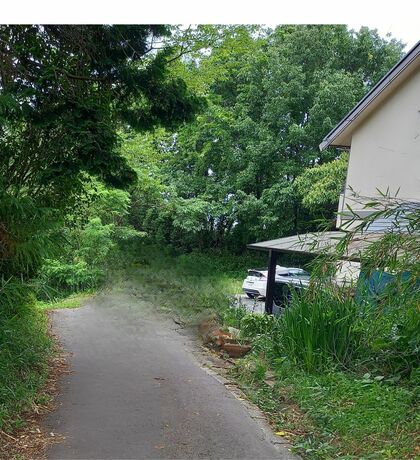 サロンへの道のり